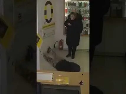Что у вас здесь происходит видео
