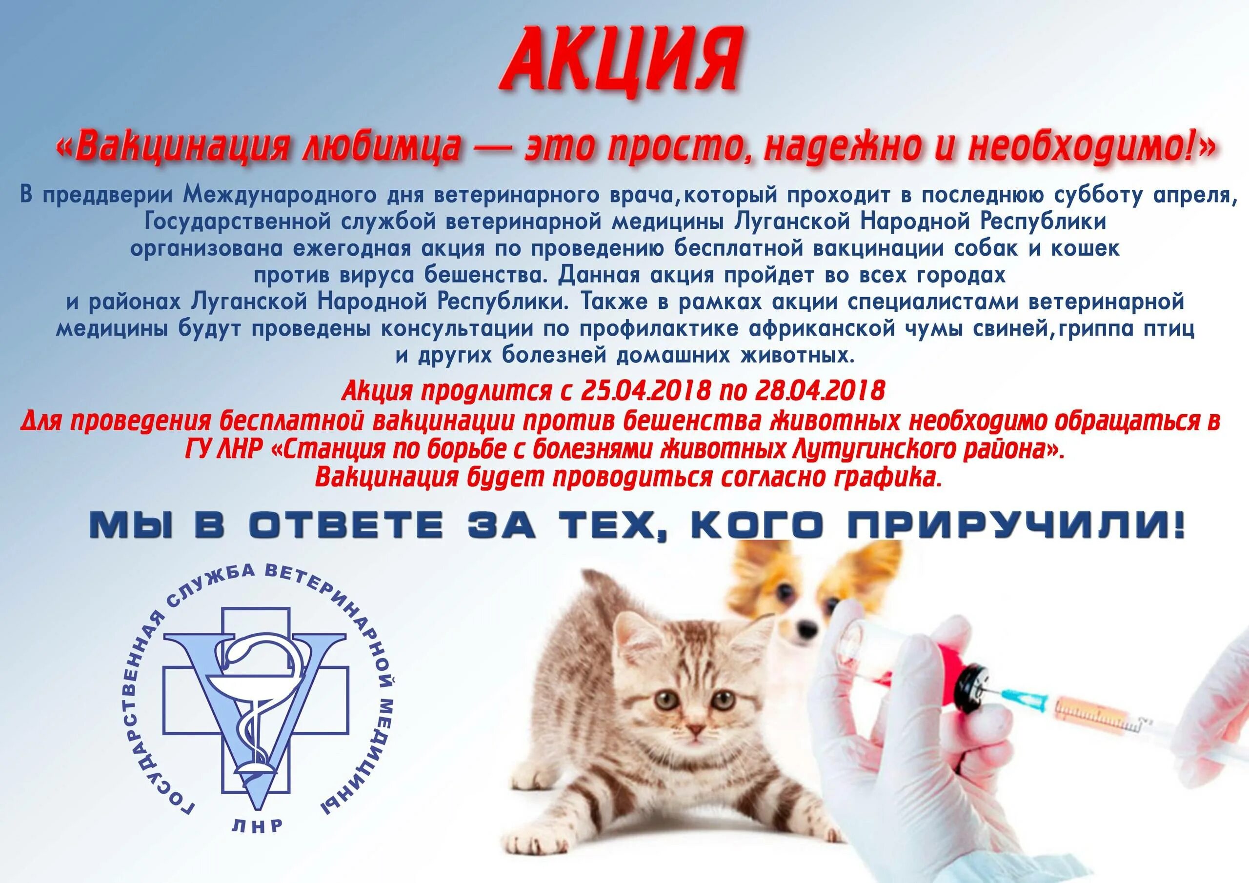 Бесплатная вакцинация против. Внимание вакцинация животных. Бесплатная вакцинация против. Бесплатная вакцинация против. Прививку против гриппа.