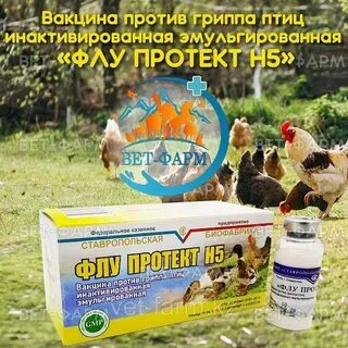 Вакцина флу протект н5
