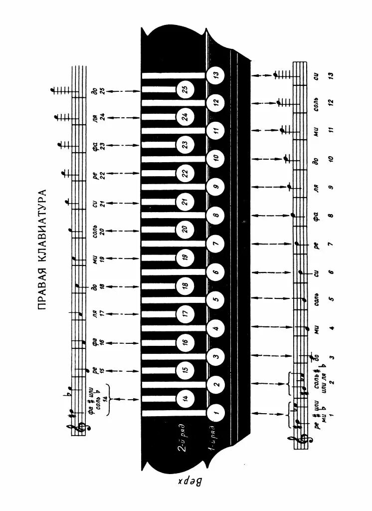 Самоучитель игры на гармошке для начинающих. Схема аккордов на гармони 25х25. Ноты на правой клавиатуре гармони 25на25. Раскладка клавиатуры гармони хромка. Левая клавиатура гармони Ноты схема.