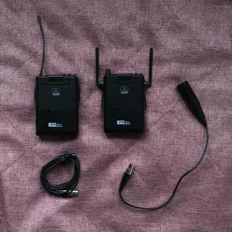Pr 81