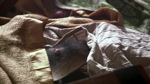 Penis prop used by chow in the. penis prop used by chow in the. 