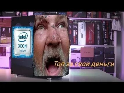 Купила бомжа за 3000 долларов