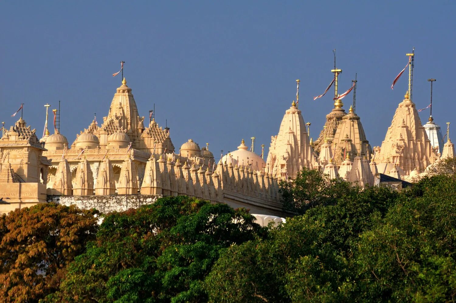 Пакистан шри ланка. Палитана. Палитана вегетарианский город. Shatrunjaya Hill. Gujarat - Palitana.