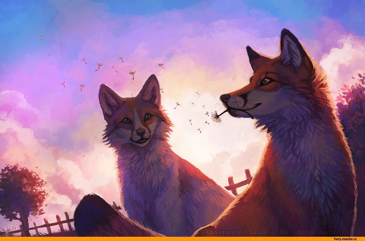 Милый лисёнок арт. Лисы любовь. Лиса с лисенком рисунок. Лисы и волки. Арты животных.