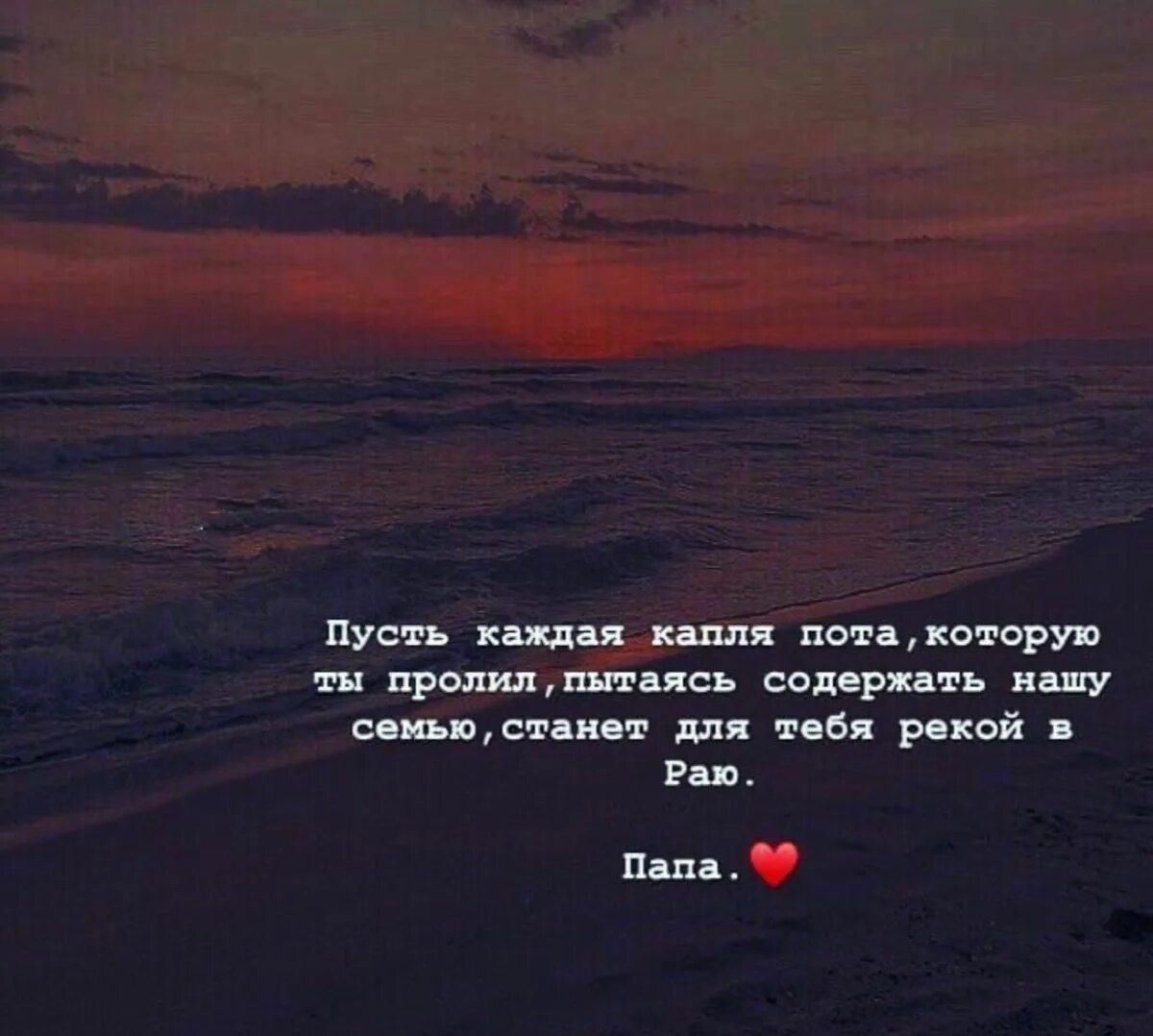 Пусть каждая капля пота. Капля афоризмы. Капли пота. Отец цитата пусть каждая капля пота. Белые розы в каплях.