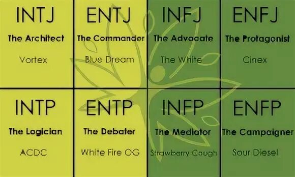 Infj t