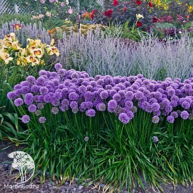 22 Layouts and Design Plans for a Perennial Flower Garden Garten landschaftsbau,