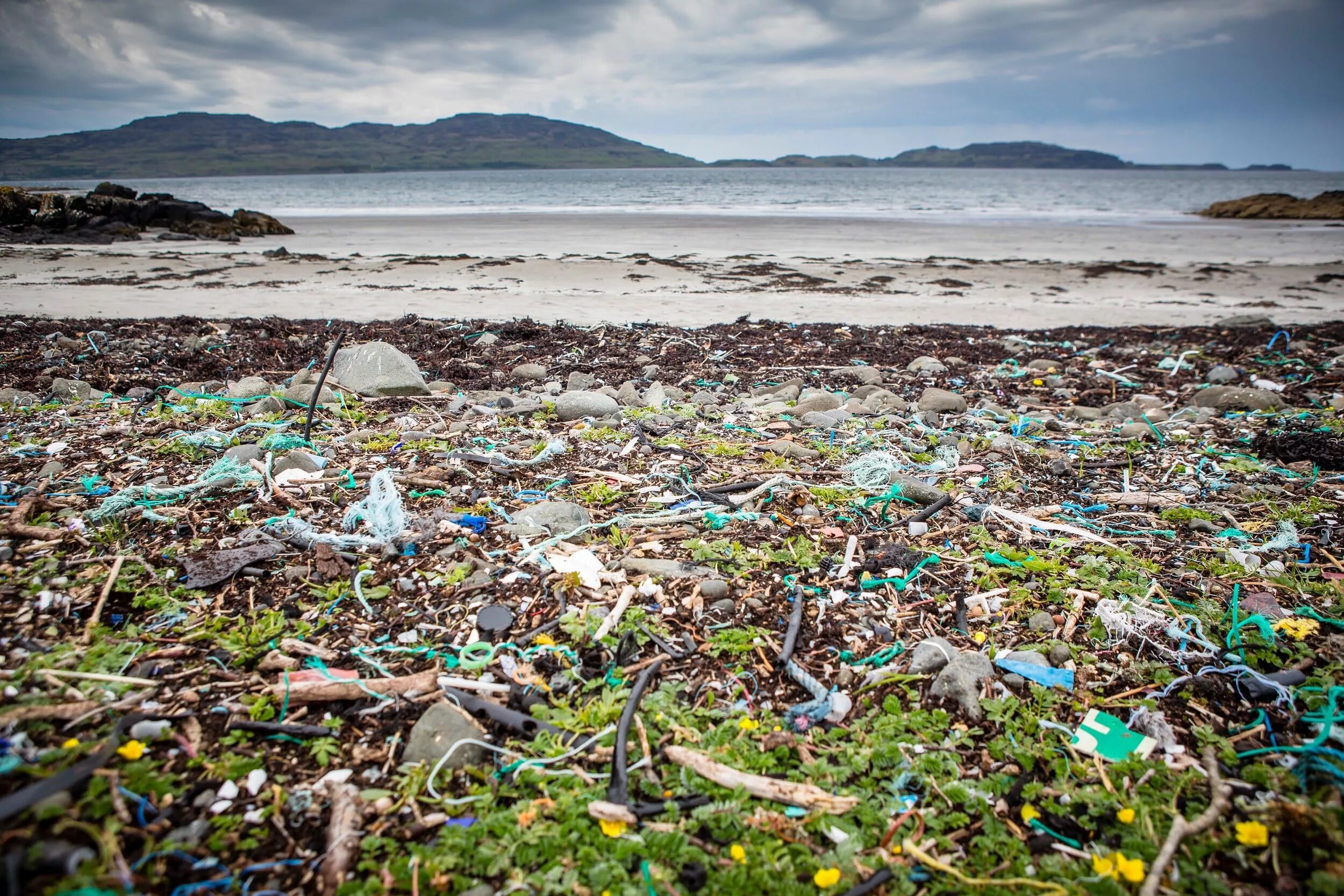 Загрязнение мирового океана. Экология Болгарии. Greenpeace пластик. Environment Ocean pollution.