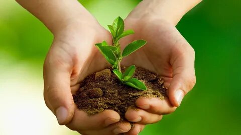 Keeping environment
