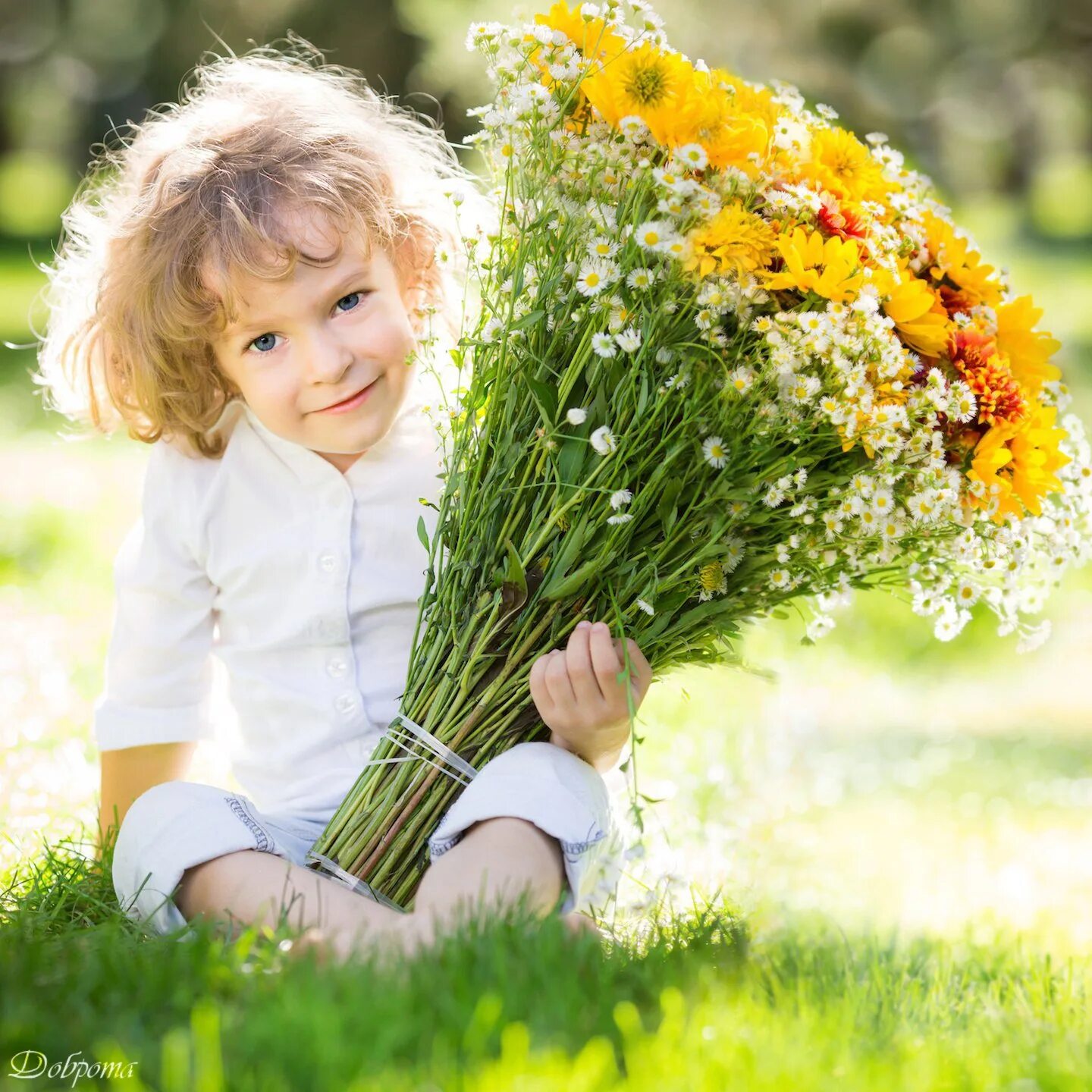 Дети цветов 1. Малыш с букетом цветов. Мальчик с охапкой цветов. Ребенок с огромным букетом. Букет в руках ребенка.