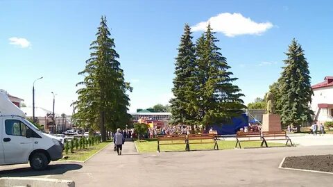 Ель приморское ш 640а отзывы