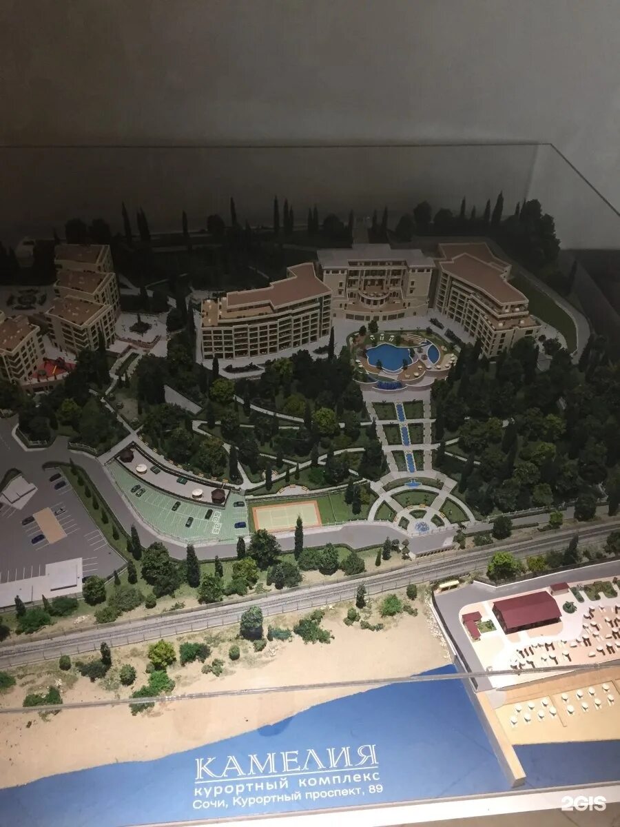 Курортный проспект 89 сочи. Курортный проспект 89 камелия. Swissotel resort сочи камелия. Курортная 89 сочи. Санаторий камелия сочи.