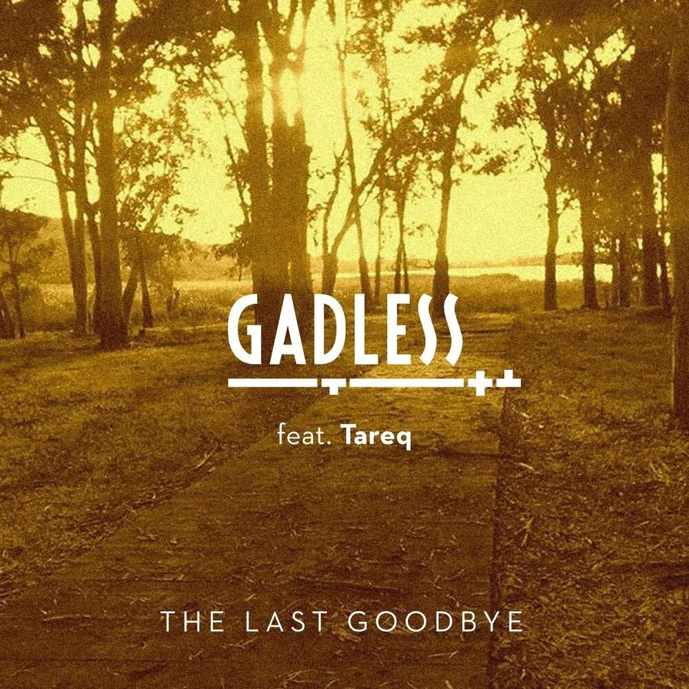 Goodbye lily. Ласт гудбай. Bettye lavette). Ласт гудбай. Goodbye lily.