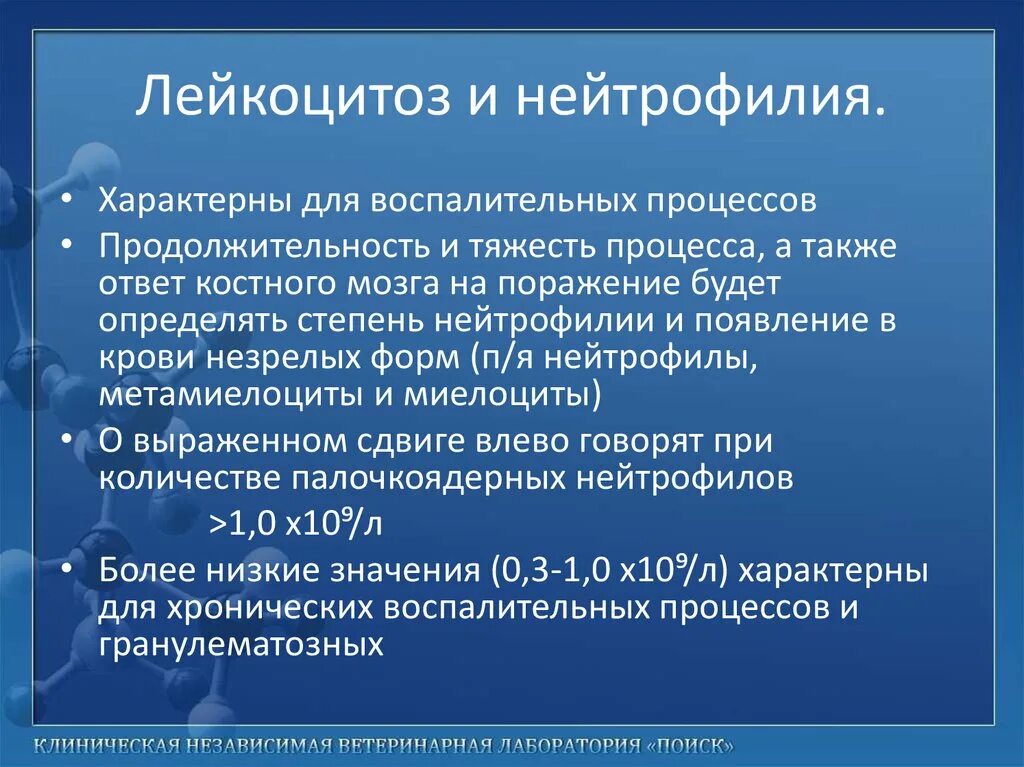 Лейкоцитоз жалобы. Лейкоцитоз характерен для:. Лейкоцитоз характерен при. Умеренный нейтрофильный лейкоцитоз. Функциональный лейкоцитоз.