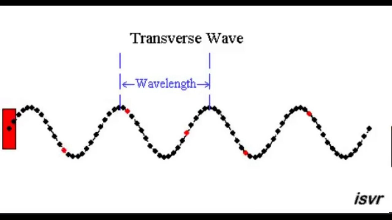Продольные волны примеры. Продольные и поперечные волны. Продольные волны распространяются. Продольные волны примеры. Продольные и поперечные волны.