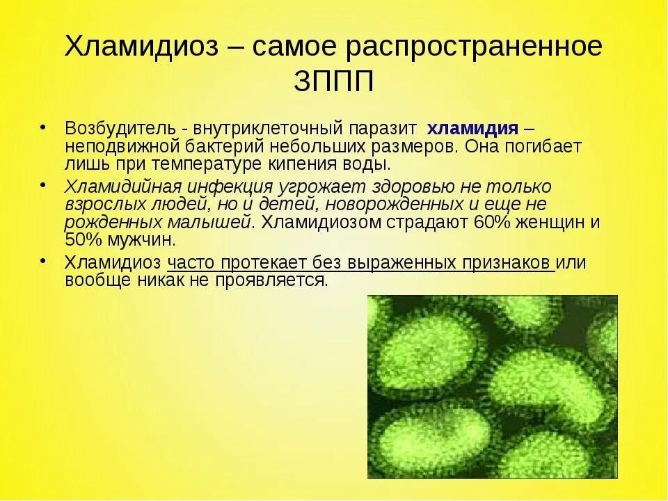 Хламидии микробиология заболевания. Хламидии форма бактерии. Возбудитель хламидии микробиология. Возбудитель респираторного хламидиоза.