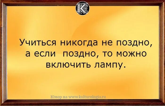Не поздно добавить. Учиться никогда не поздно цитаты. философия юмор. учиться никогда поздно цитаты. философ юмор.
