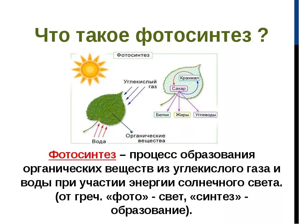 При дыхании растений образуются органические вещества. Фотосинтез это в биологии кратко. Фотосинтез кратко. Фотосинтез 6 класс биология кратко. Схема фотосинтеза у растений биология.