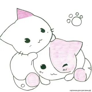 Котики для срисовки легкие и милые карандашом