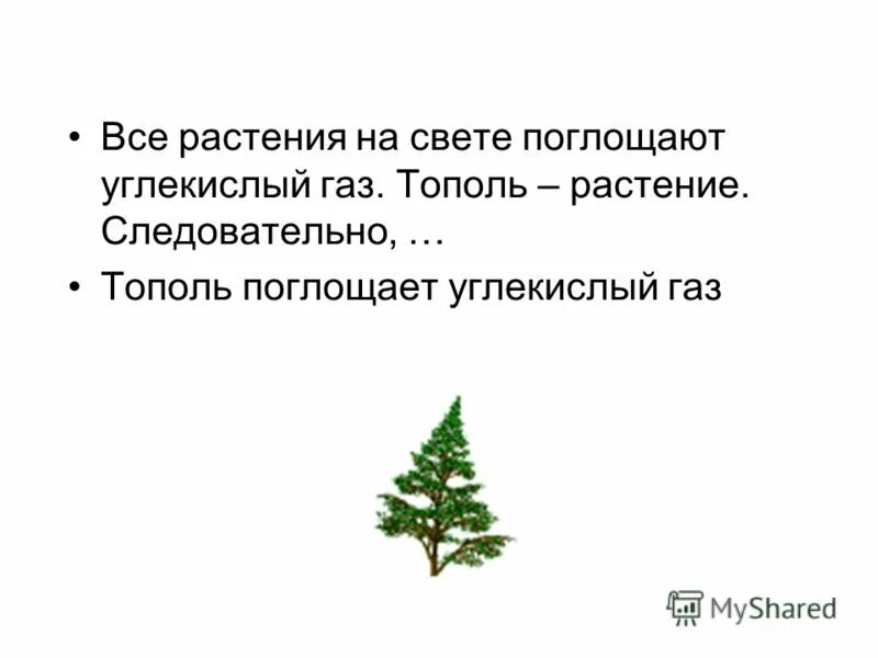 Растения на свету наоборот поглощают. Цветок реагирующий на свет. Растения на свету наоборот. Влияние света на растения и животных. Чтобы узнать неизвестное слагаемое.