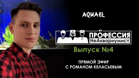 4 эфира