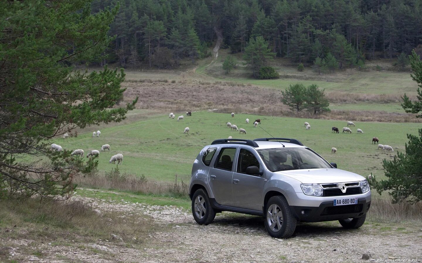 Renault Duster 2010. Dacia Duster 2010. Renault Duster 1. Renault Duster 2011.