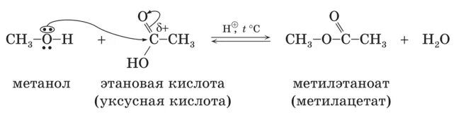 N ацилирование карбоновых кислот. Этановая кислота метилэтаноат. Получение метилацетата из метанола. S ацилирование карбоновых кислот.