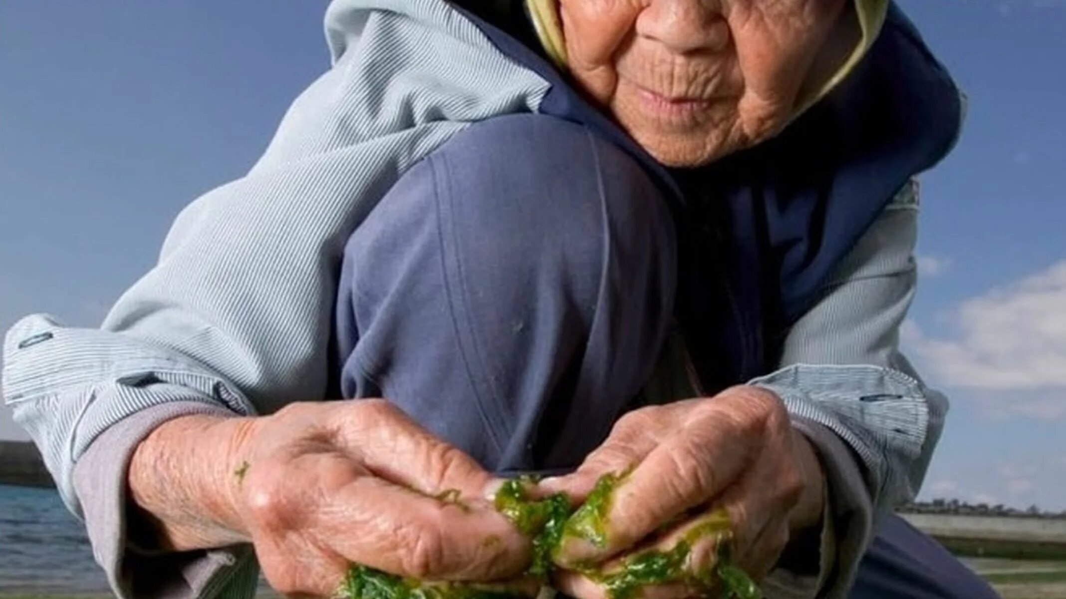 They lived long and life. Остров Окинава Япония долгожители. Long Life долголетие. Долгожители Окинавы фото. Питание японцев для долголетия.