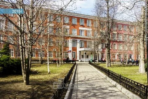 5 школа рядом