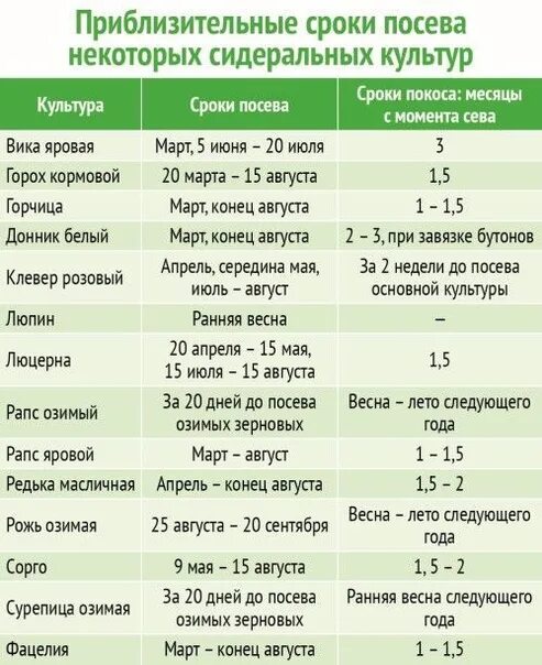 Сроки посева сельдерея. Подготовка семян к посеву Яровой пшеницы таблица. Оптимального срока посадки о. Сроки посева культур. Таблица высева зерновых культур.