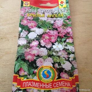 Семенов сад