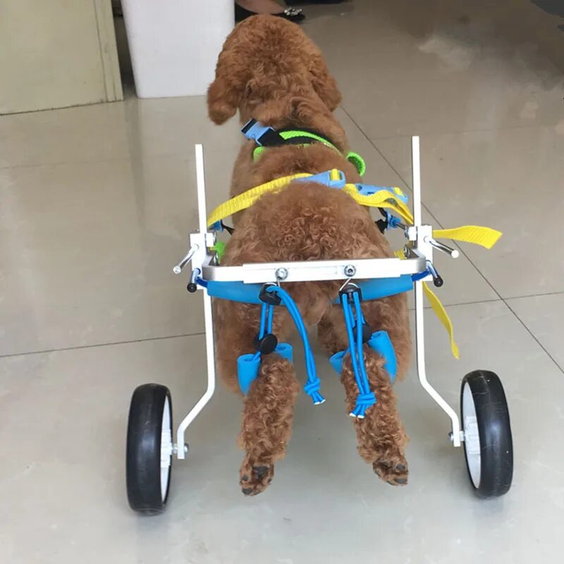 Инвалидная коляска для задних лап. Инвалидные коляски dog wheelchairs. инвалидная коляска для собак walkin wheels. инвалит ная коляска для собаки. тележка для собаки инвалида.