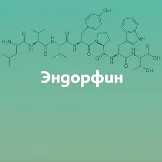 Эндорфин чехов отзывы