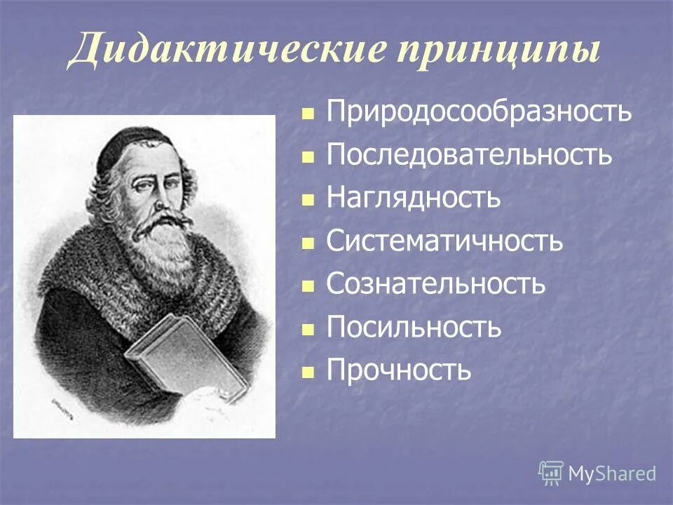 А коменского. Принципoв дидактики - принцип наглядности. Дидактические принципы обучения. Дидактические принципы яна амоса коменского. Принципы дидактики.