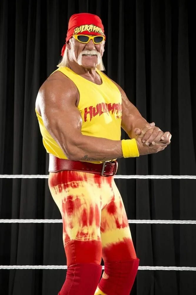 Сколько лет хоган. Халк хоган. рестлер халк. хоган с wwe. халк хоган и халк хоган.