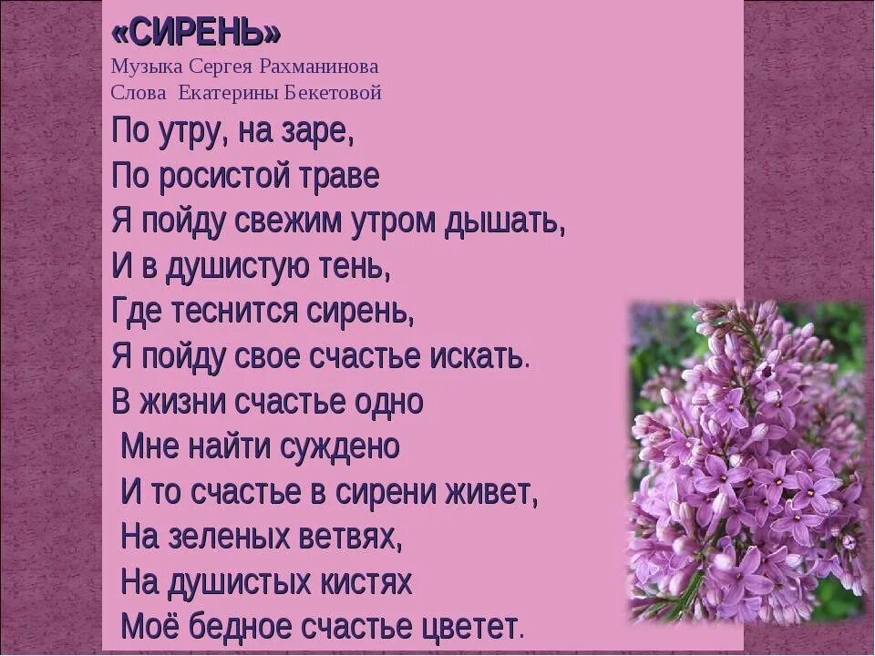 Песня май цветет. Есенин сирень. Стихотворение про сирень. Стишки про сирень. Красивое стихотворение про сирень.