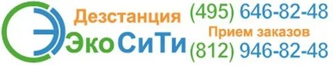 Экосити великий новгород телефон