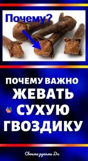 Почему жевать полезно