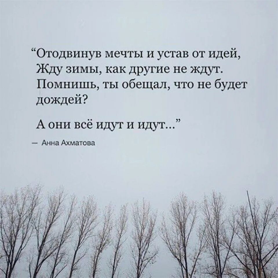 Я помню была мечта и мир. Отодвинув мечты и устав от идей жду зимы. Отодвинув мечты и устав от идей жду зимы как другие не ждут. Отодвинув мечты и устав от идей. Стих отодвинув мечты и устав от идей.