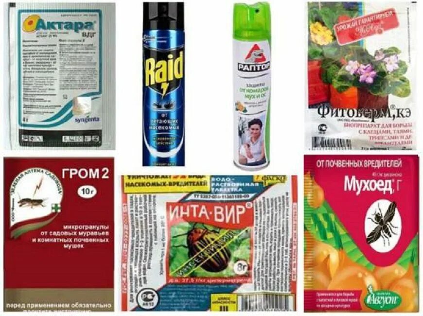 Как лечить от мошек. Средство от мошек в комнатных цветах. средство от цветочных мошек в квартире. средство от мошек в цветах комнатных эффективное. препараты от мошек в комнатных цветах.
