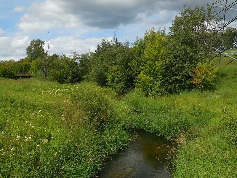 Пос икша. Река Икша. Река Икша Московская область. Река Волгуша Дмитровский район. Икша Дмитровский район.