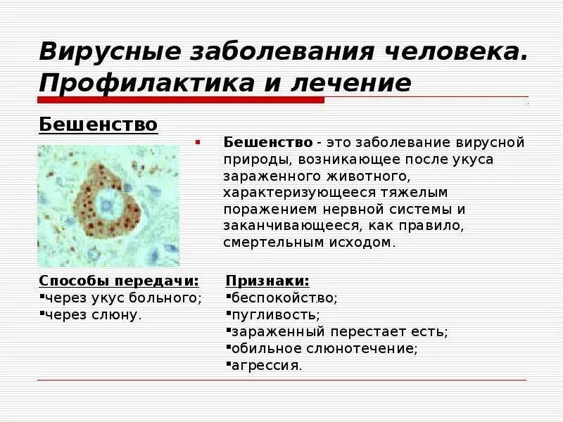 Вирусные инфекции распространение. Вирусные болезни. вирусные болезни человека. вирусные заболевания примеры. вирусы и вызываемые ими заболевания.