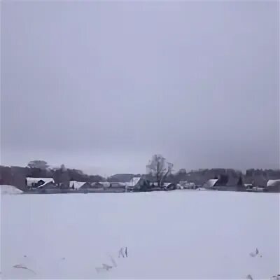 Автобус селково