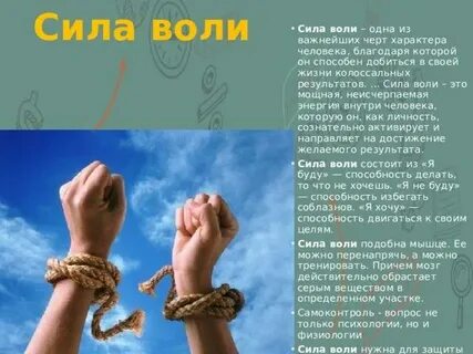 Что такое сила воли простыми словами