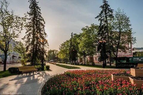 Тамбов летняя