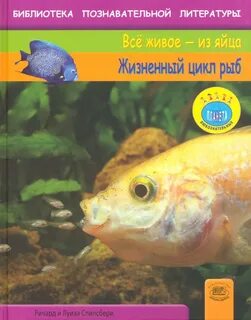 Тетра книга