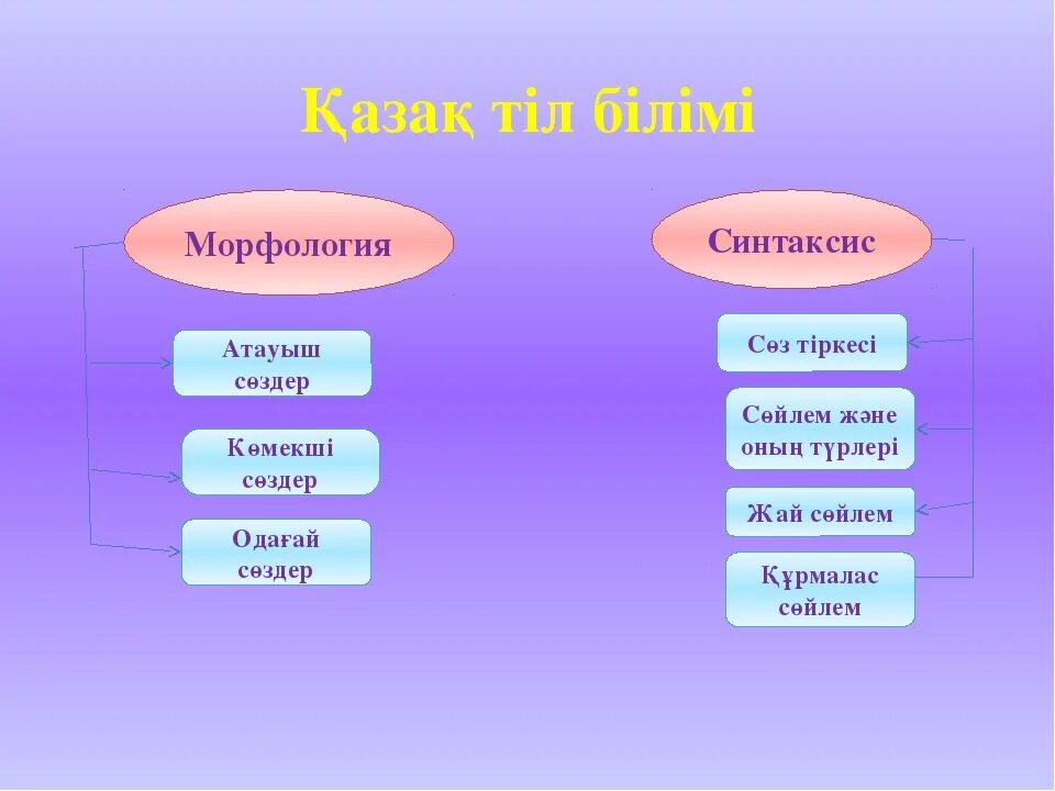 Тірек сөздерді пайдаланып сипаттау мәтінін жаз