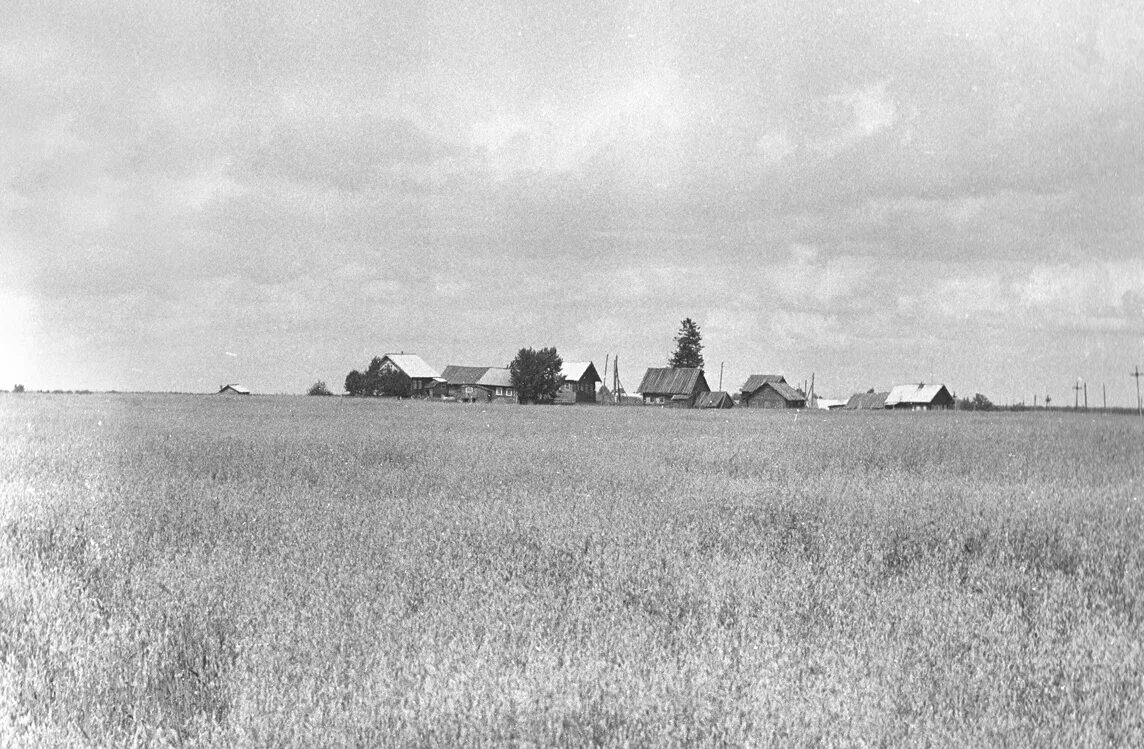 Деревня горки 1. Поля деревня горки. Погост вдали. Деревня 1986. Краснодон поля.