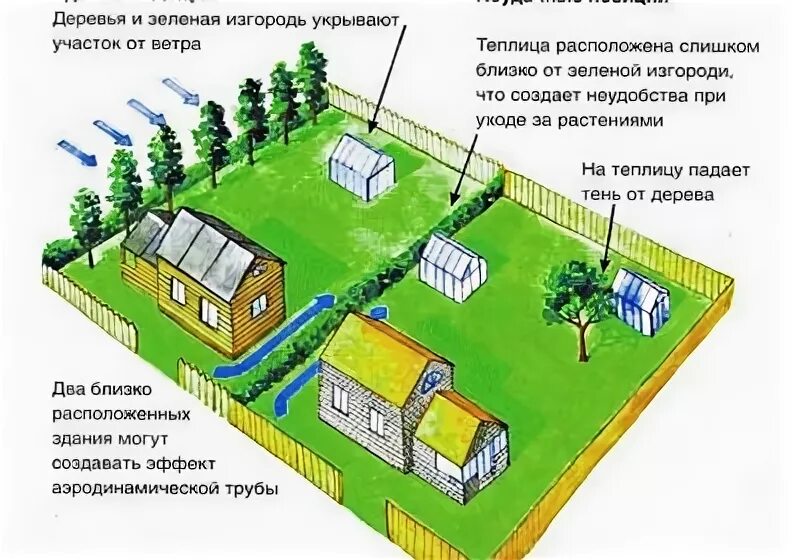 Грядки относительно сторон света. Расположение теплицы. Размещение теплицы на участке. Расположение теплицы на участке. Как разместить теплицу на участке.